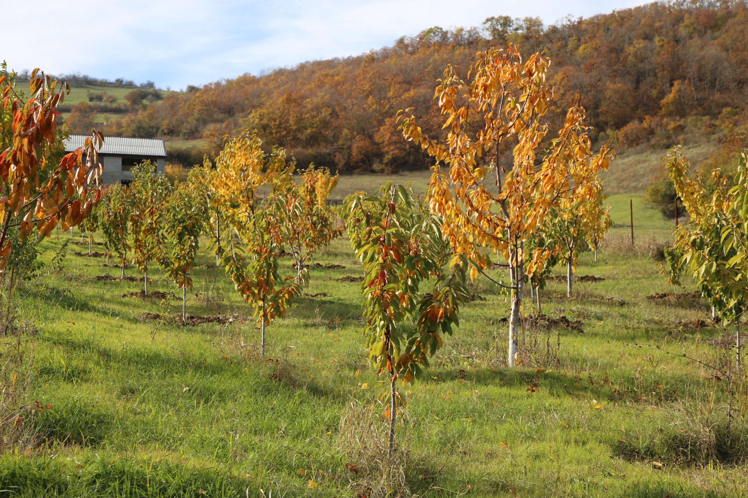 Сотрудники Минэкономразвития проверили ход реализации программы развития горных территорий в Казбековском районе